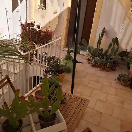 Casa Del Carmine *